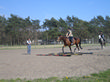 Reitertage, Teilnahmen an Reitturniere, geführte Geländeritte, Theoriekurse, Reitunterricht in Schenkendorf (Dahme-Spreewald, Brandenburg)